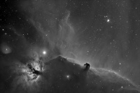 HorseHead & Flame Nebula